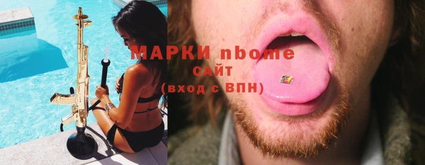прущий лед Алзамай