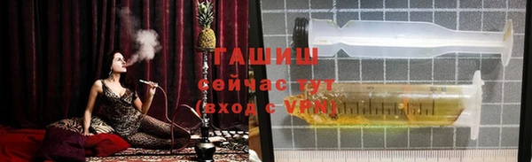 прущий лед Алзамай