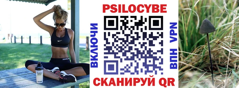 хочу   Лысково  Галлюциногенные грибы Psilocybine cubensis 